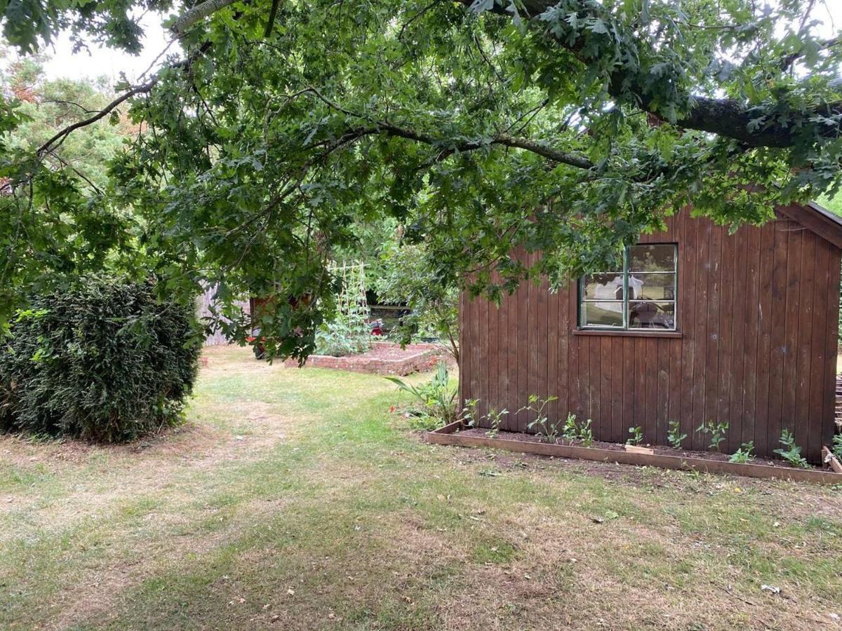 Orchard Cabin Herefordshire Wye Valley Ross-on-Wye Kültér fotó